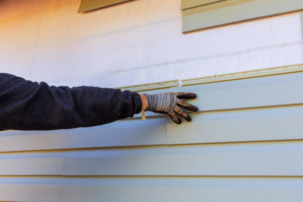 Best Storm Damage Siding Repair  in Capac, MI